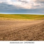 博万体育网址的最新动态与体育赛事推荐 0b9c1