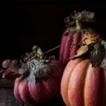 博喜体育官网的优势与特色,带你畅享体育盛宴 3j52in2v