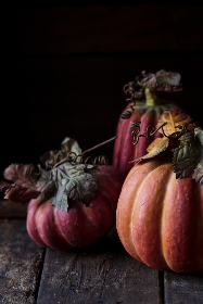 博喜体育官网的优势与特色,带你畅享体育盛宴 博喜体育官网的优势与特色,带你畅享体育盛宴