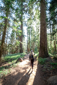 各类赌博种类的规则与策略：新手必读指南