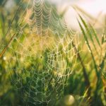 博天堂的未来:科技与创新如何推动行业发展 797zim