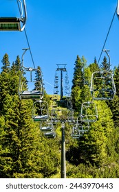 博天堂平台用户体验分享:从新手到高手的成长之路 博天堂平台用户体验分享:从新手到高手的成长之路