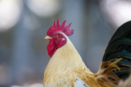 参与PG免费试玩,赢取丰厚奖励与惊喜礼品 参与PG免费试玩,赢取丰厚奖励与惊喜礼品