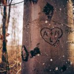 博狗香港:探索亚洲最受欢迎的在线博彩平台 dp1dz3pb