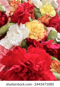 博士平台:助力研究生实现学术梦想的理想选择 博士平台:助力研究生实现学术梦想的理想选择