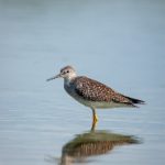 博客多娱乐的成功案例:那些让人难以忘怀的精彩内容 s09ts