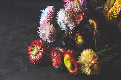 博通平台在物联网领域的应用与发展前景 博通平台在物联网领域的应用与发展前景