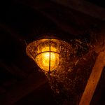 博马娱乐的热门游戏推荐,带你畅游虚拟世界 y7rujo37