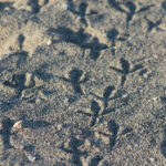 17187期体育彩票开奖结果最新公布 2riwr