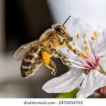 17117期足球胜负彩开奖结果正式公布 428nl