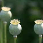 17124期足彩开奖结果揭晓,大奖花落谁家? 6fcmqq6gm0