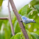 17150期体育彩票开奖结果查询与中奖号码公布 eb18b69muz