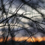 3d149期开奖结果最新公布与详细数据分析 ev8b4