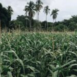 3D121期开奖号码公布及中奖详情全面解析 k62ws