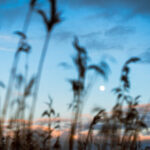 3d116期开奖结果最新公布,中奖号码全面揭晓 kz7wv