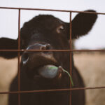 17157期足球开奖结果查询与最新中奖号码公布 osbzk4