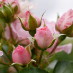 17146期足彩开奖结果揭晓,大奖花落谁家? pm5k8xwqv