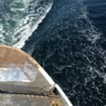 17164期足彩开奖结果最新公布与奖金分配详情 qbqie1vdo9