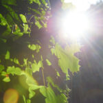 3d150期开奖结果最新公布与详细数据分析 qow5lmooo