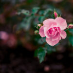 17144期开奖结果公布,幸运号码震撼揭晓 s3adjedm3w