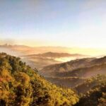 17195期开奖结果揭晓:幸运号码震撼公布 t3tyrw40