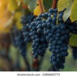 17094期最新开奖结果已公布,快来看看你中奖了吗? y94sg